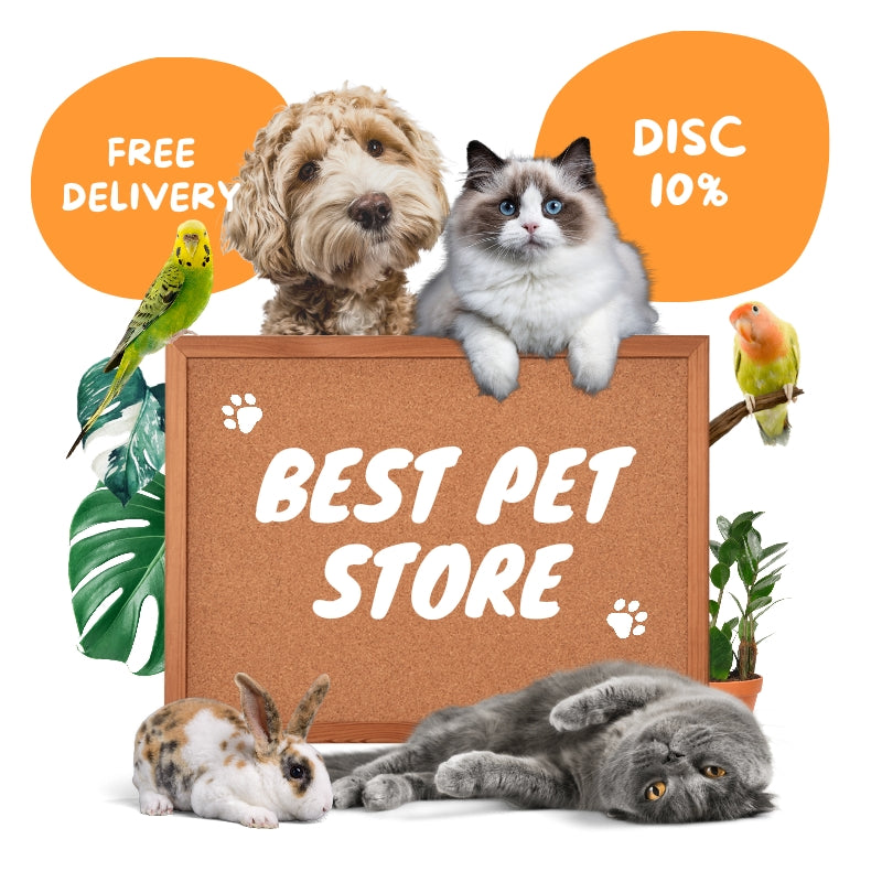best pet store