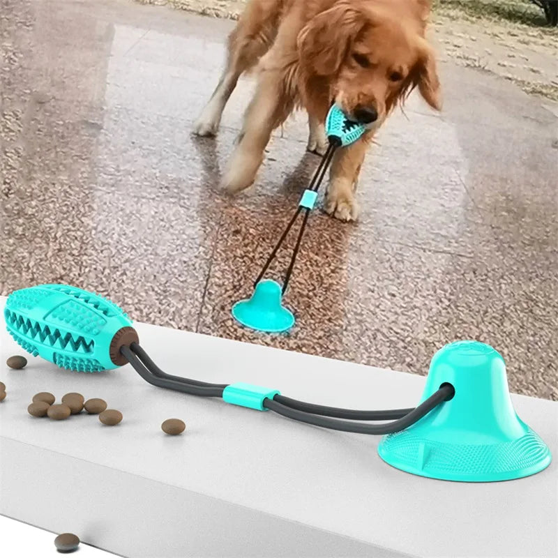Suction Ball Interactive Dog Toy