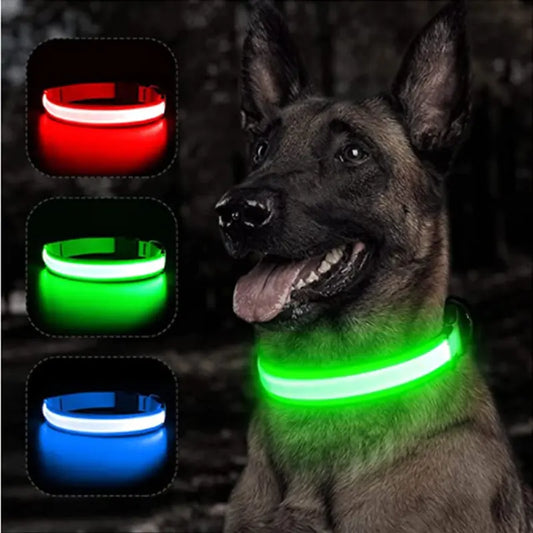 led light dog collar