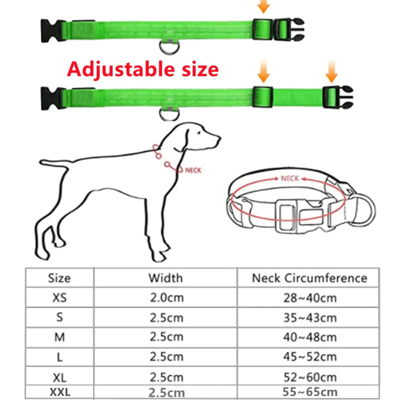 led light dog collar